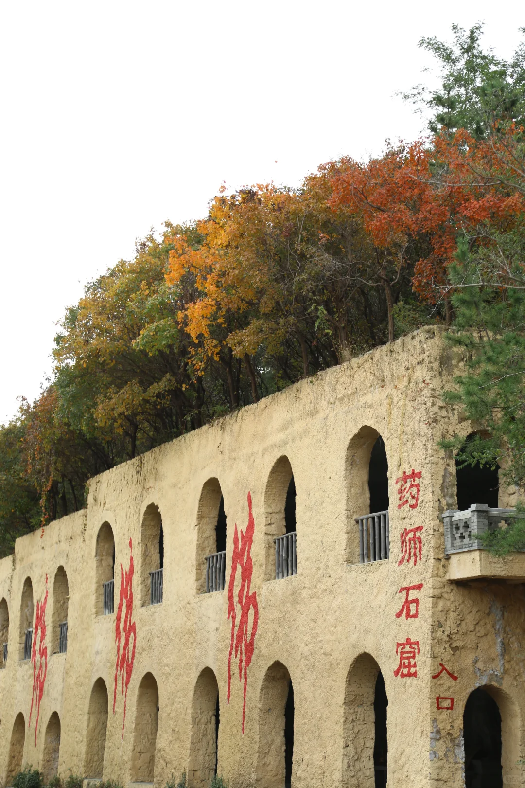 后悔了！原来在龙口应该这样玩｜附超值住宿攻