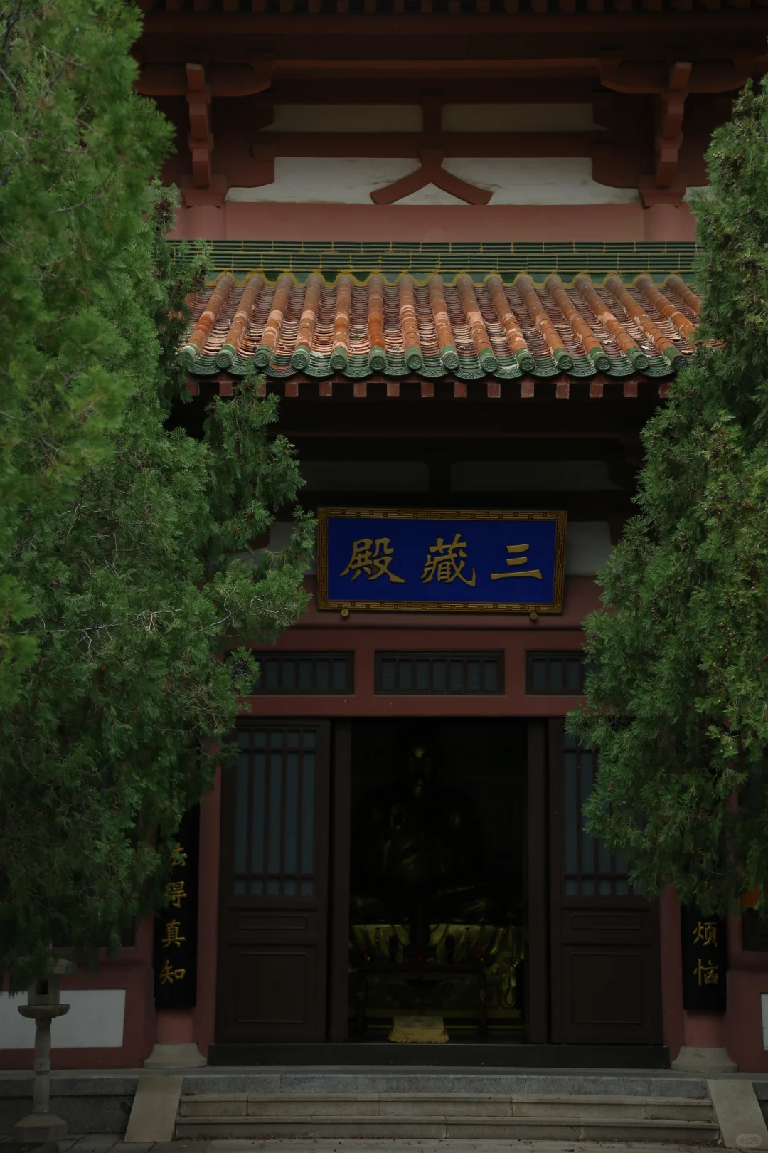 后悔了！原来在龙口应该这样玩｜附超值住宿攻