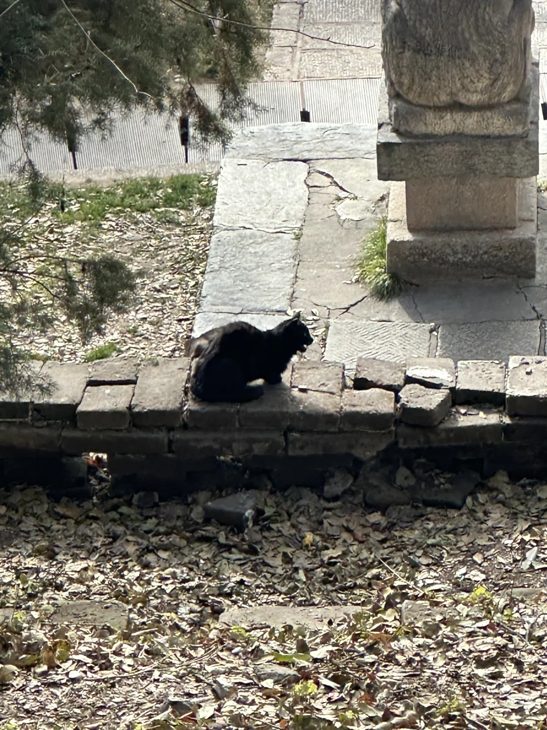 五台山攻略（必看版）｜两天一夜