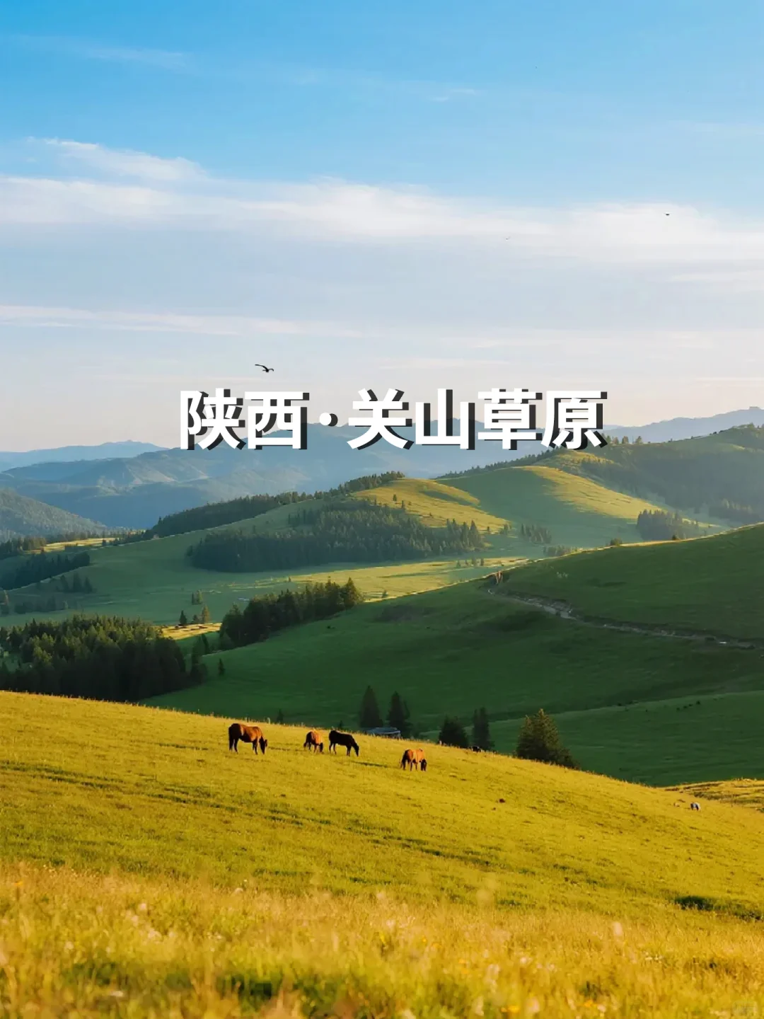 陕西必去的14个地方，你去过几个？