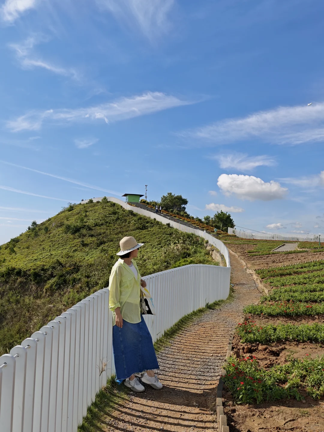 苍南168黄金海岸线必打卡景点