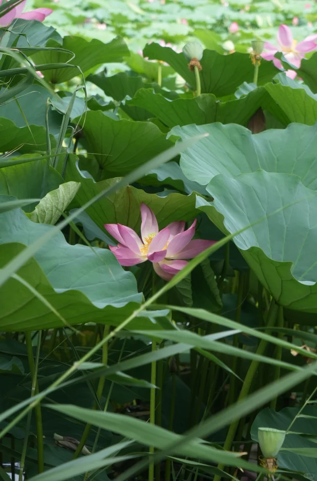 一个人山西行 | 孝义站，解锁小众宝藏小城