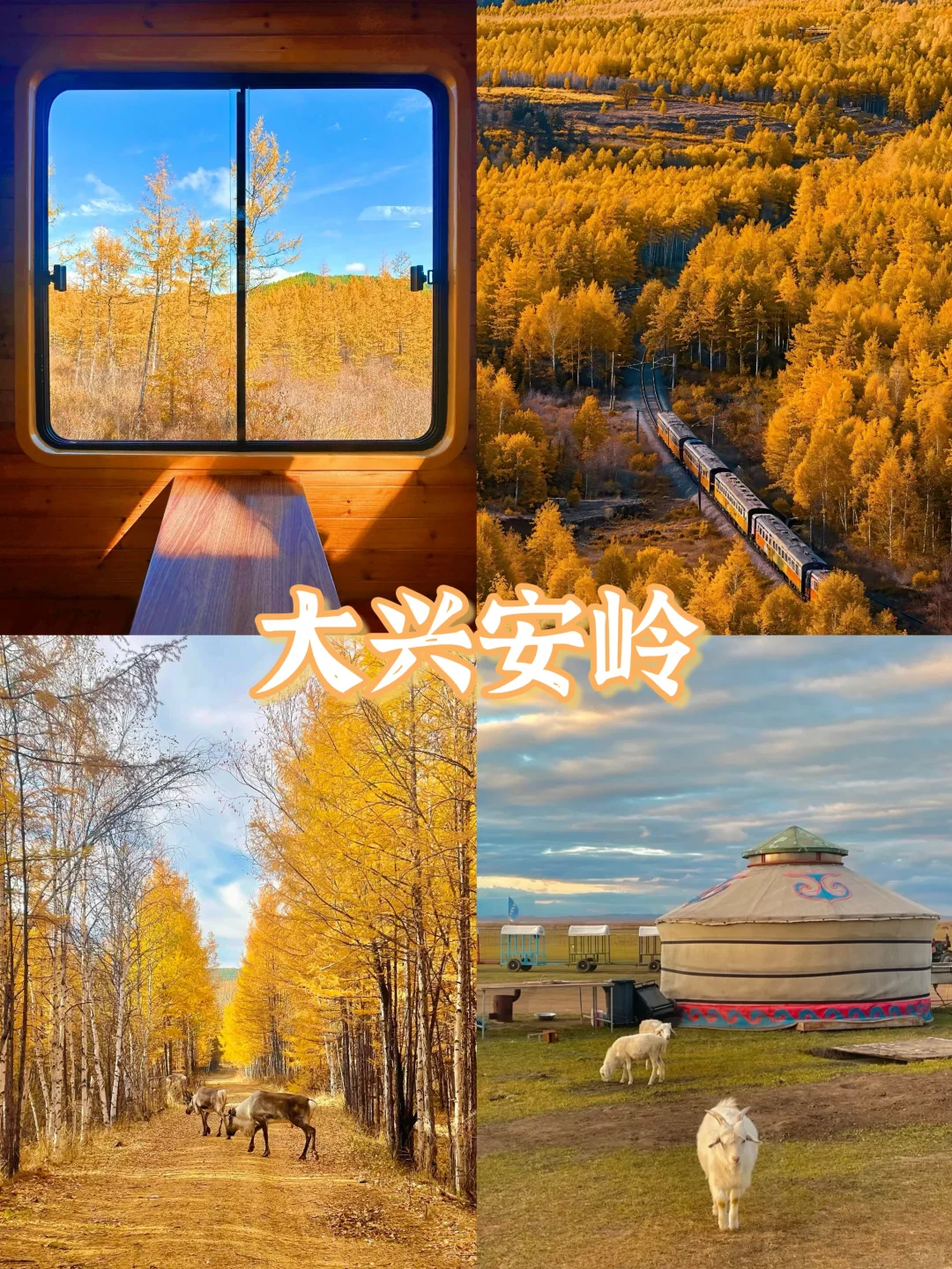 🍁一键收藏！9个国内绝美赏秋胜地推荐