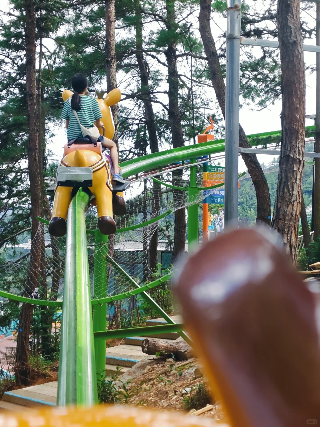 尖叫一夏！好玩到不想回家！！💥