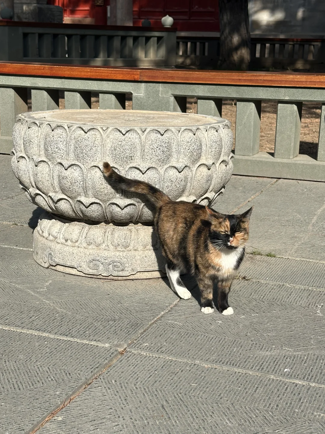 五台山攻略（必看版）｜两天一夜