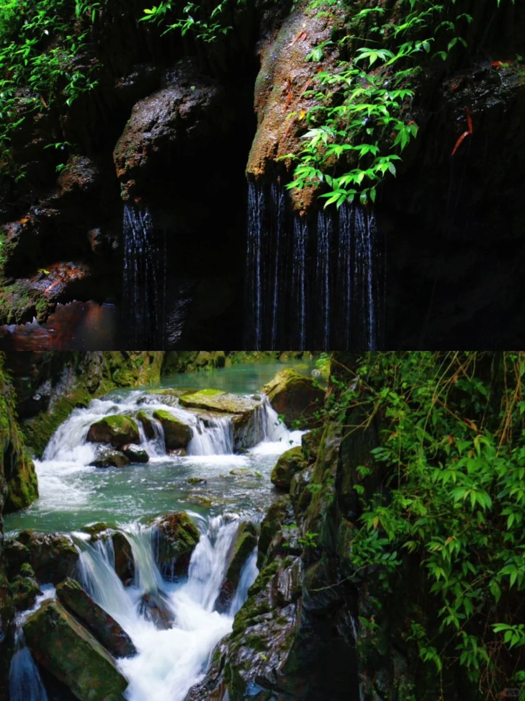 重庆秋天冲武隆！2天玩疯了