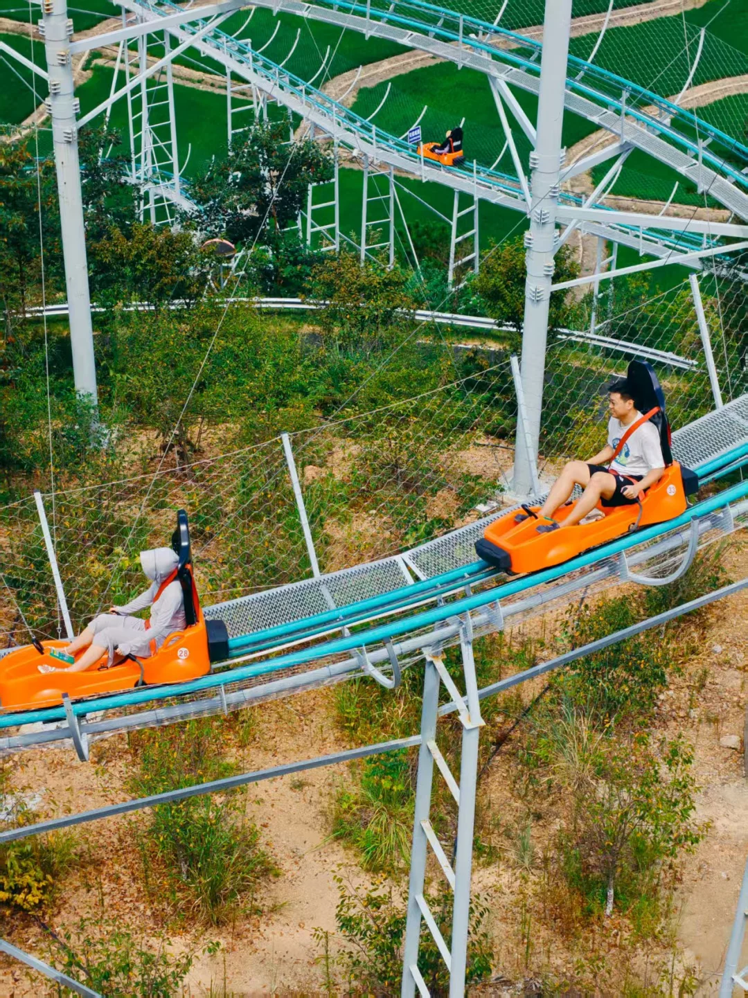 这个乐园简直是熊孩子的天堂！