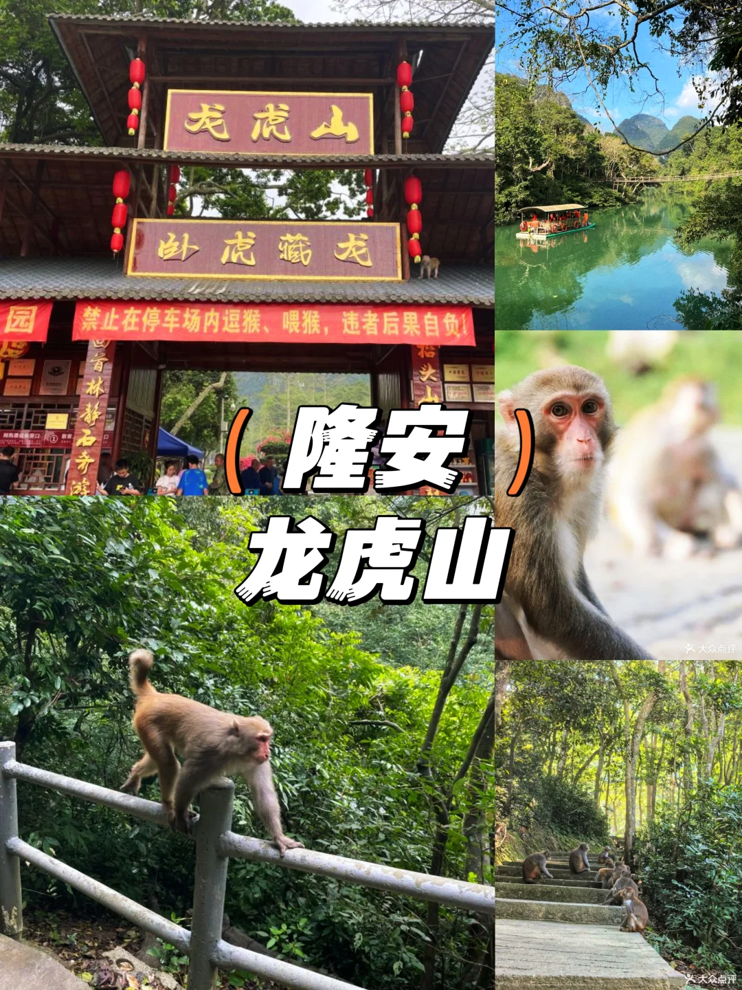 11月来广西,去这些就够了~15条路线