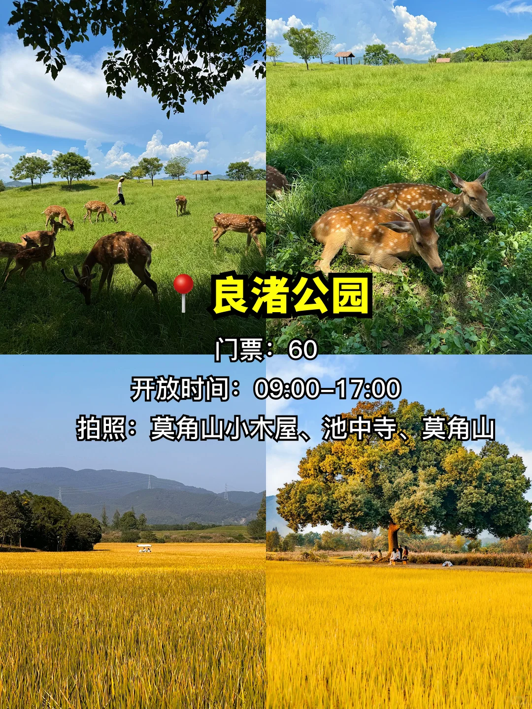 杭州9大必打卡景点合集✅建议点赞收藏👍