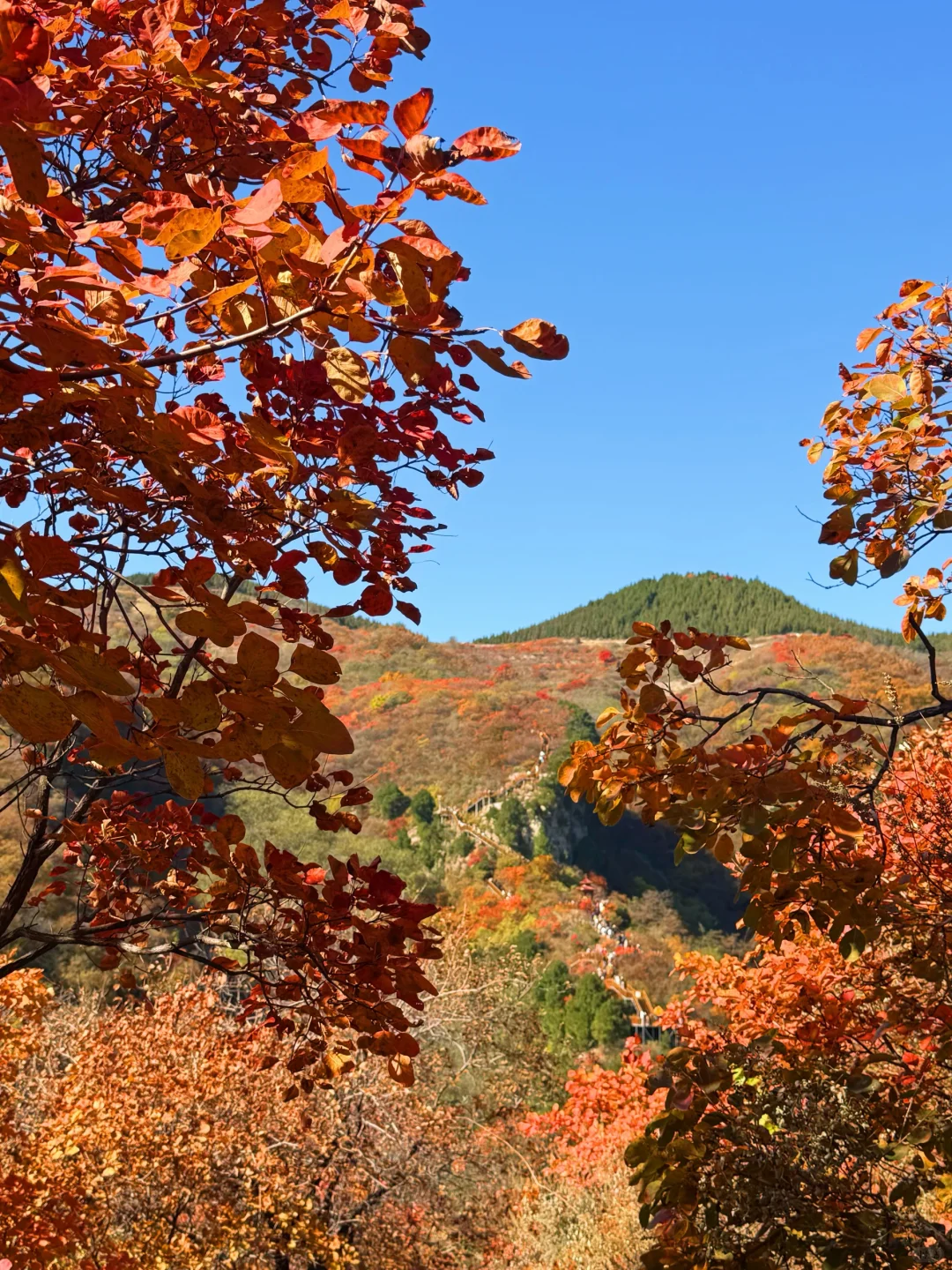 看这里❗花一天时间玩遍红叶柿岩所有景点😏