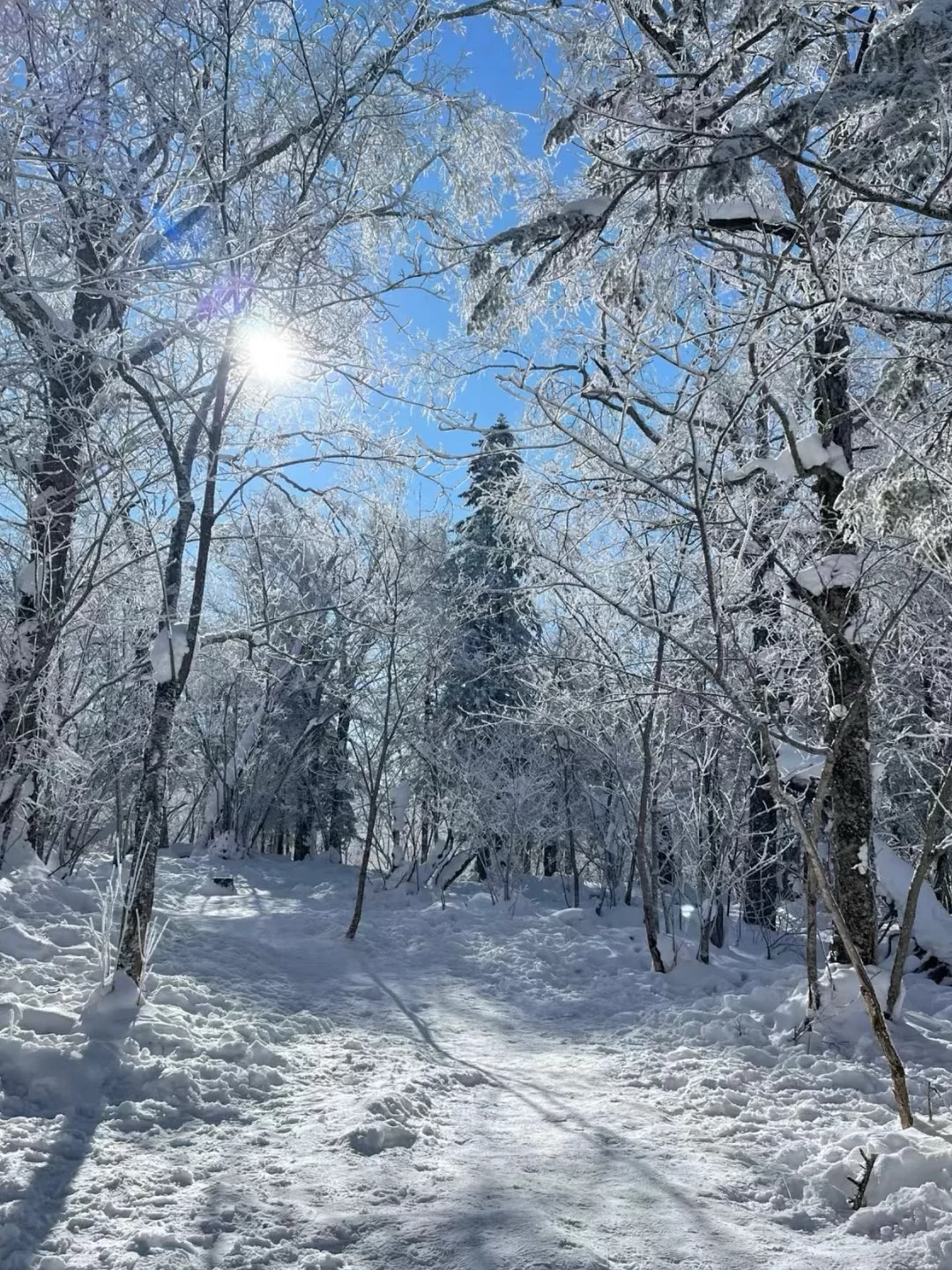 亚布力五大必玩景点，旅行前必看！