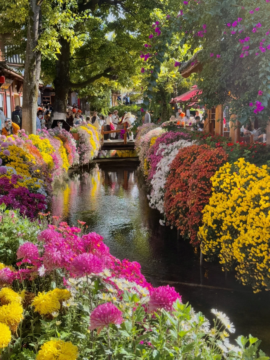 10.25实拍丽江古城⛰️简直是美到失语💐！！！