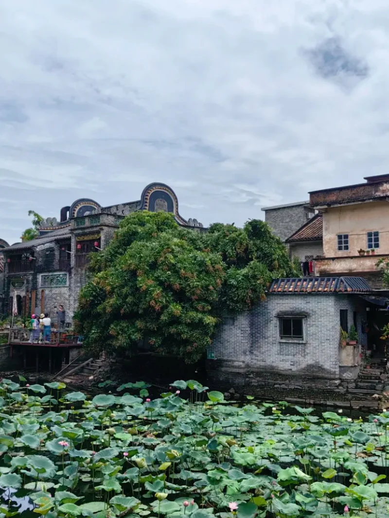 广州自驾40分钟，闯入央视点赞的烟桥古村