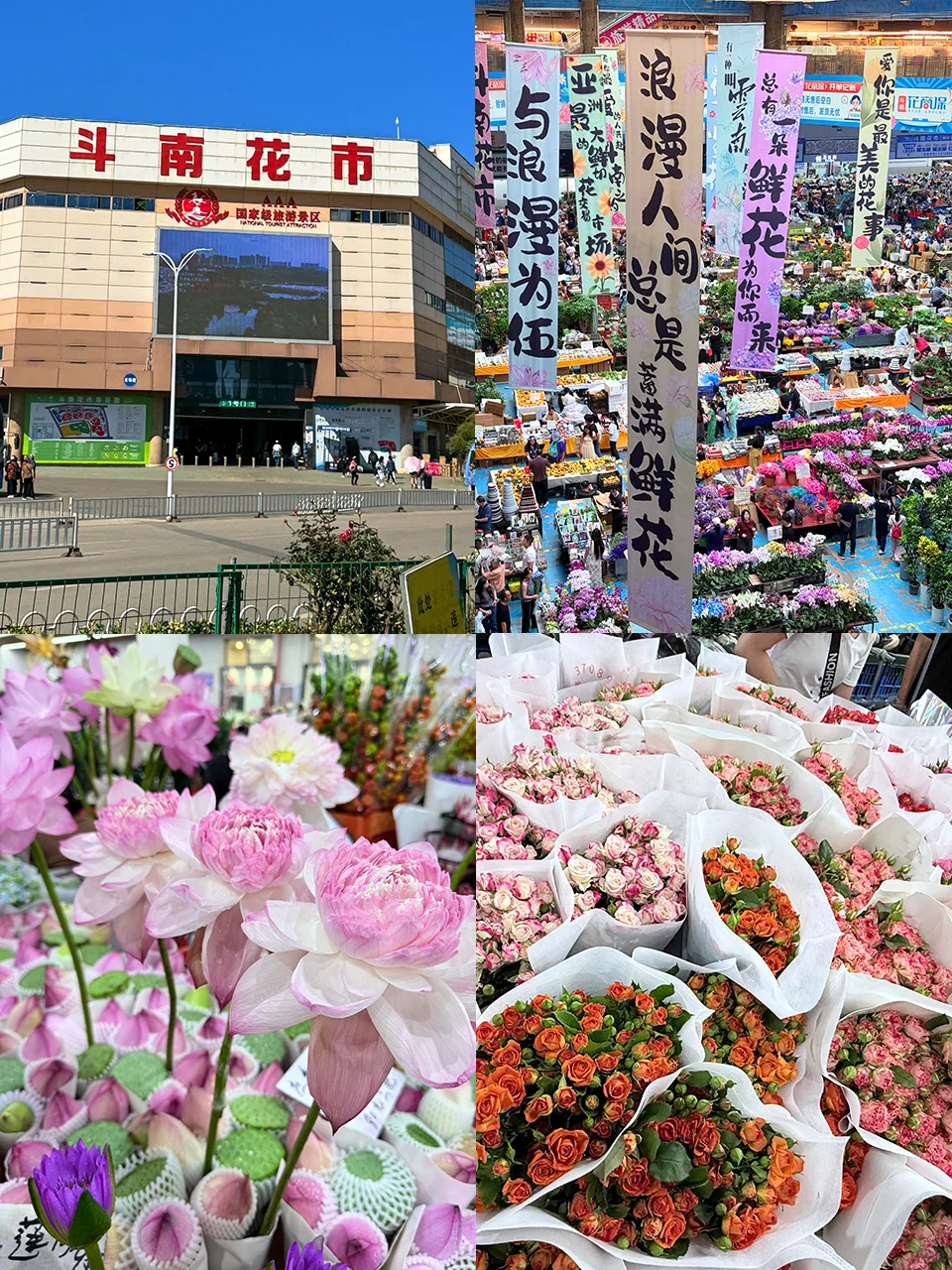 🌸昆明超全攻略!9个必打卡地玩透春城✨