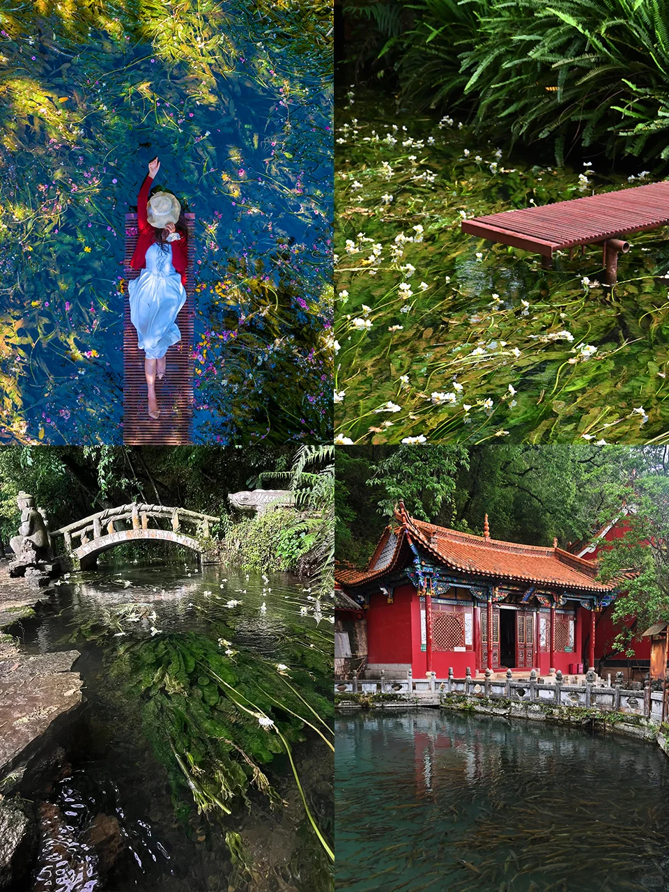 🌸昆明超全攻略!9个必打卡地玩透春城✨