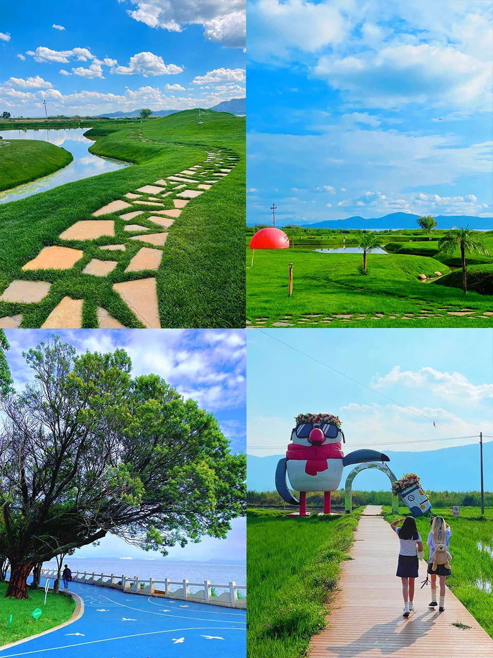 🌸昆明超全攻略!9个必打卡地玩透春城✨