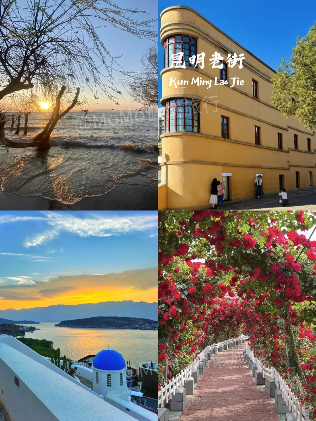 云南5天4晚纯玩旅游小团攻略📝