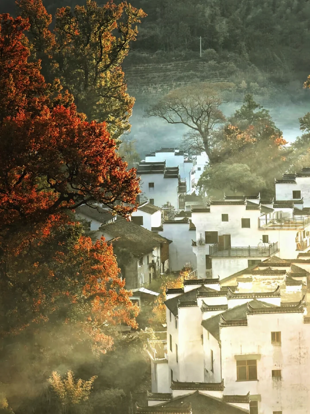 11🈷婺源赏秋|东/北线攻略~附吃住行指南