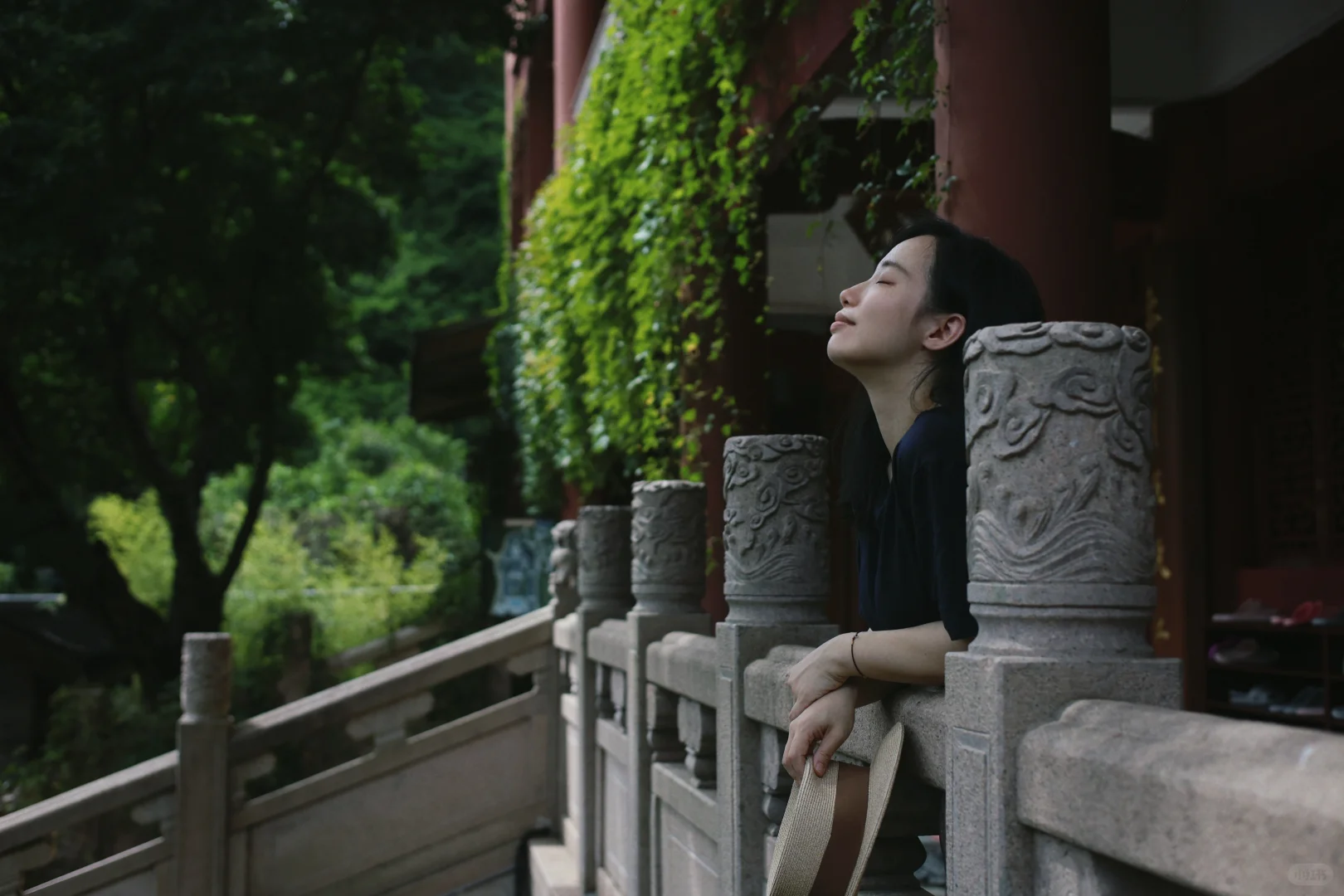 逃到山里，去见清风明月🌳🍃