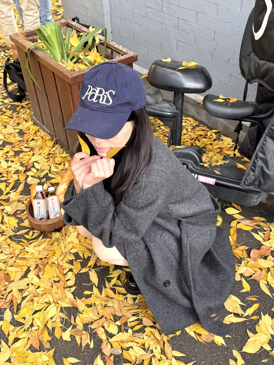 11.8实况！北京今天的胡同杀疯了！！