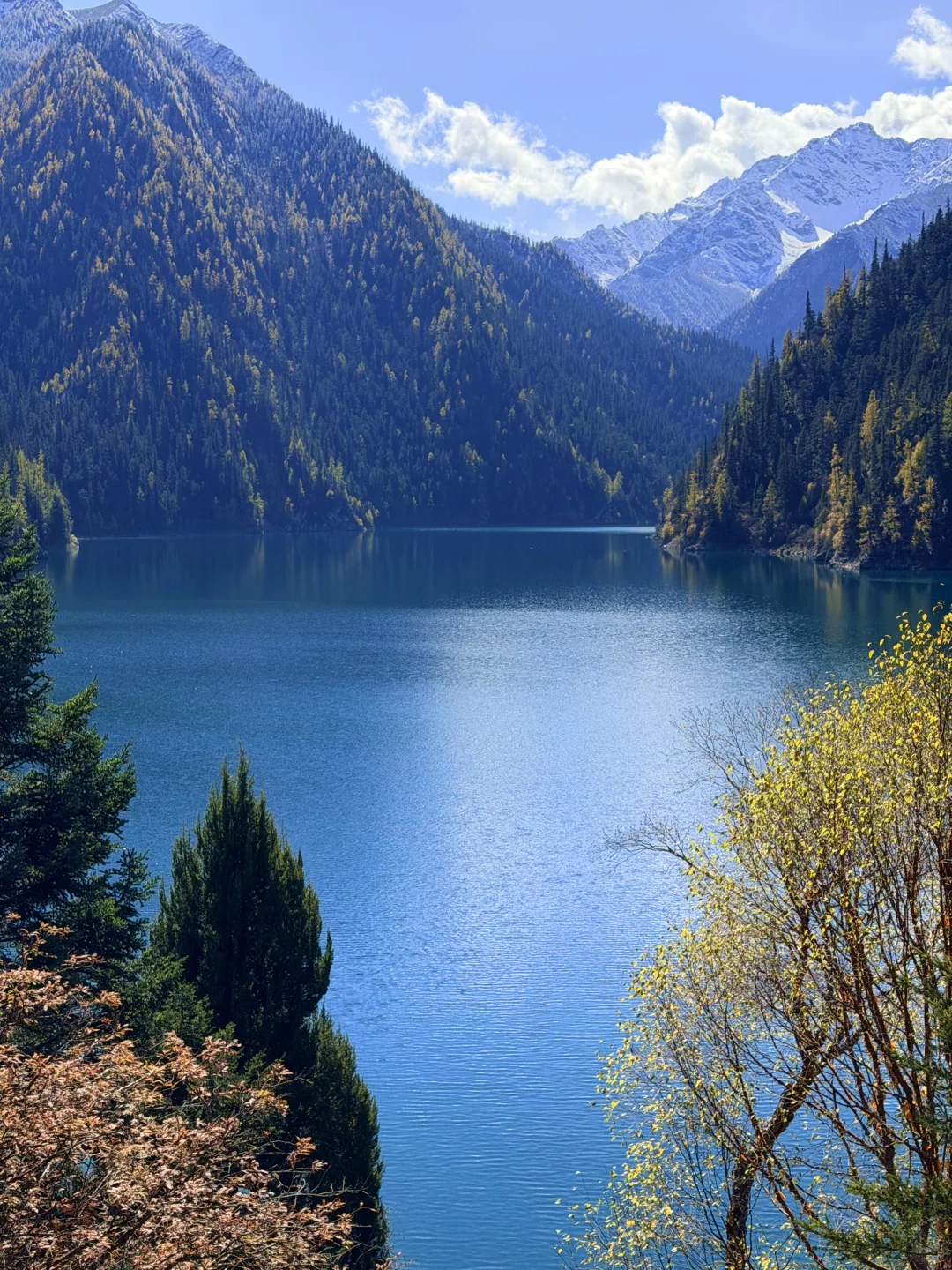 10.27九寨沟豪赌成功！红叶美哭｜Live实况