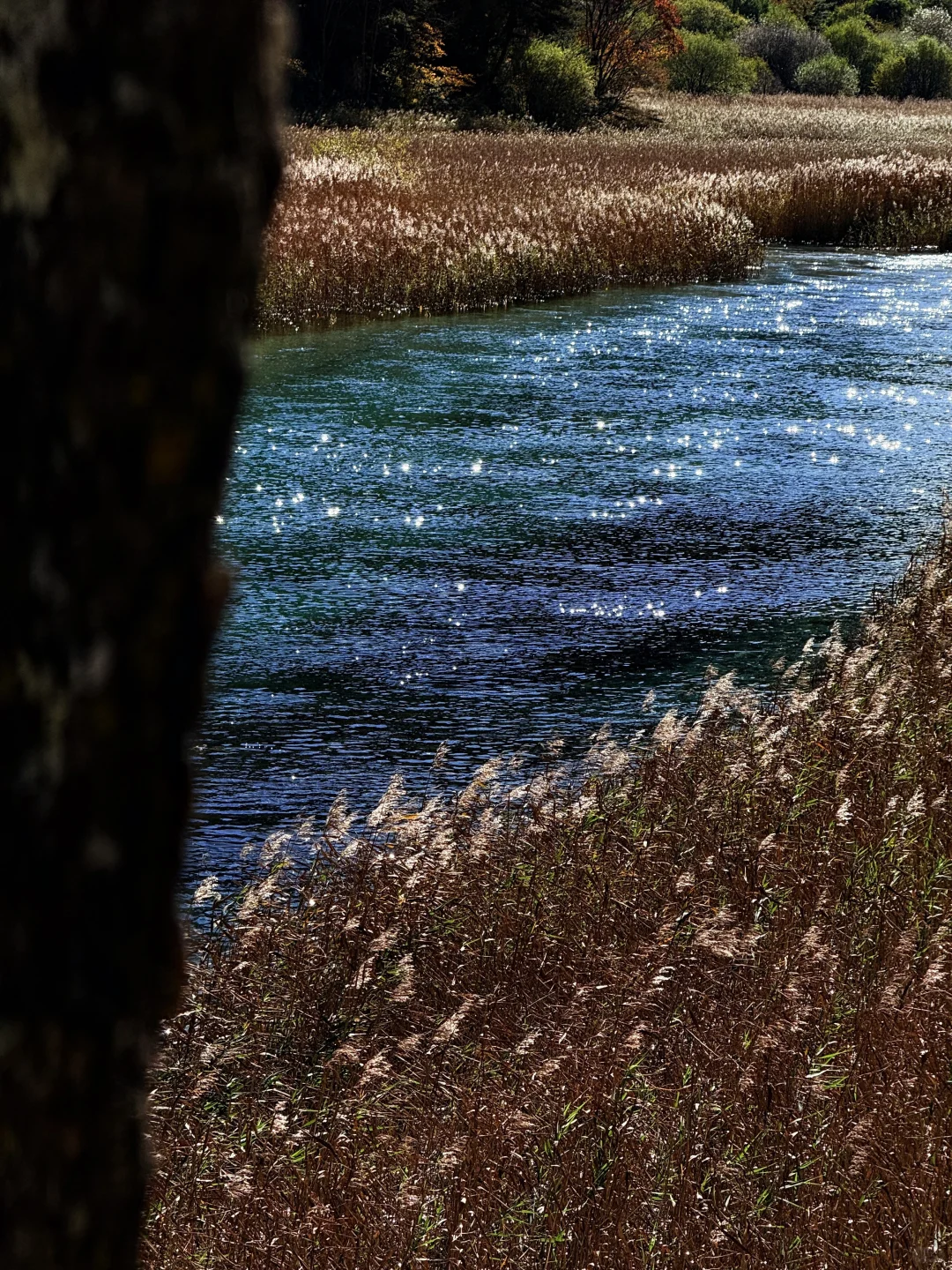 说一万次“太美了”