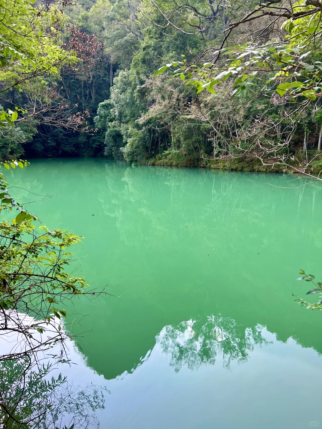 荔波小七孔｜无滤镜live图直出景色图来了🍃