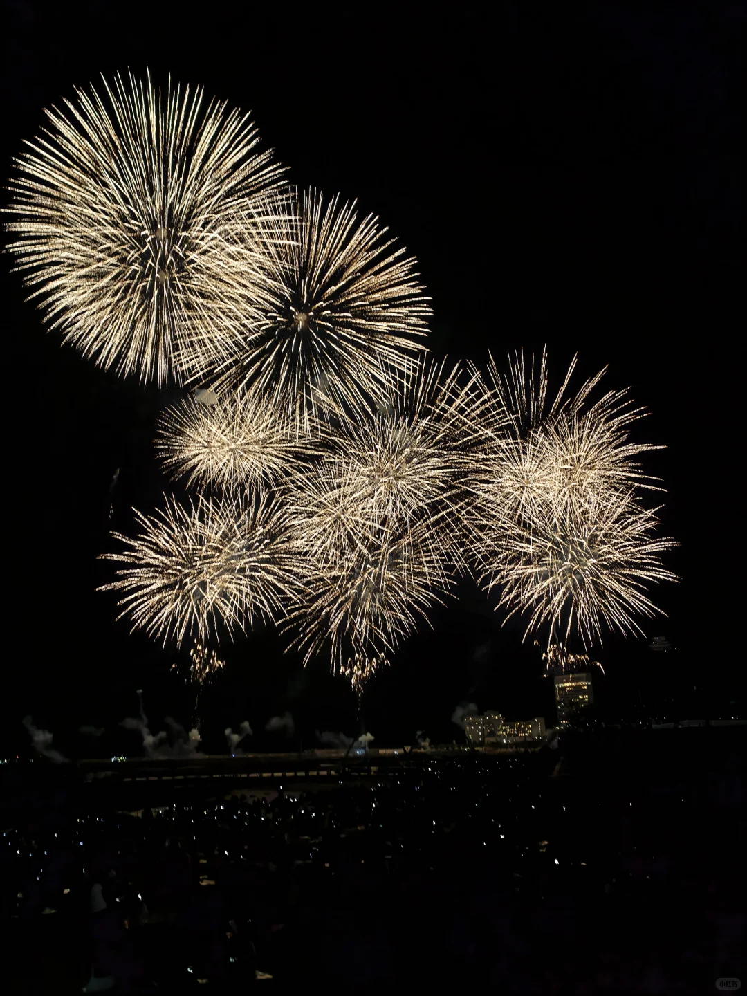 🇯🇵关东旅游攻略|八天单人不到5k