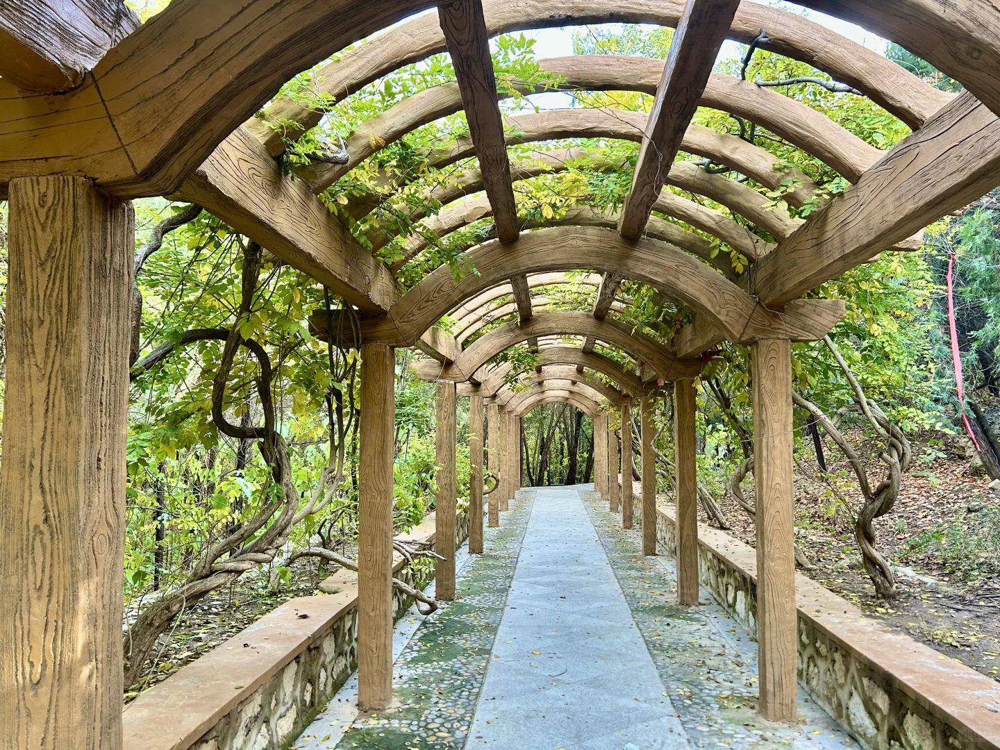 秋季再访免费元宝山～