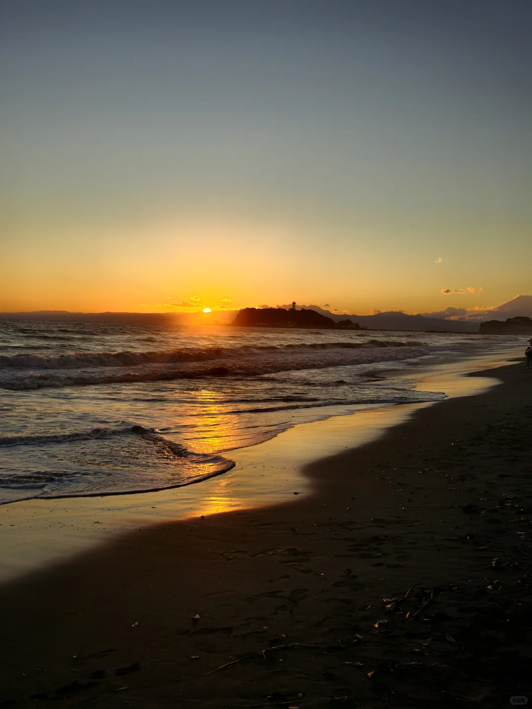 🇯🇵关东旅游攻略|八天单人不到5k