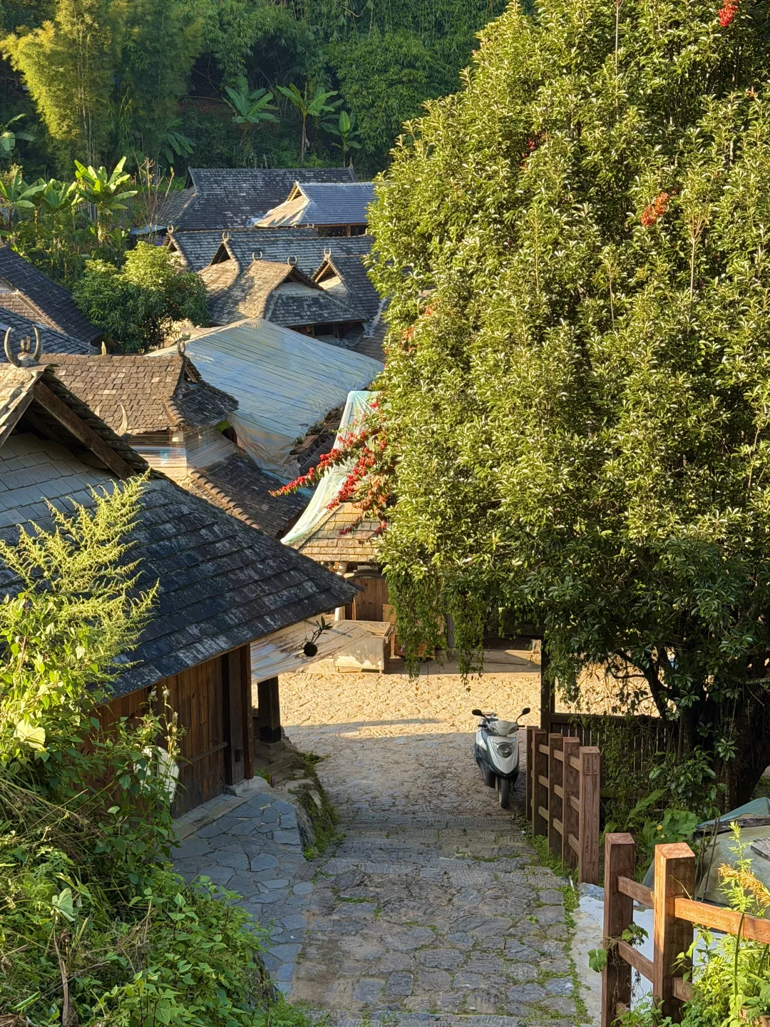 今年为止，我最喜欢的旅行地出现了…