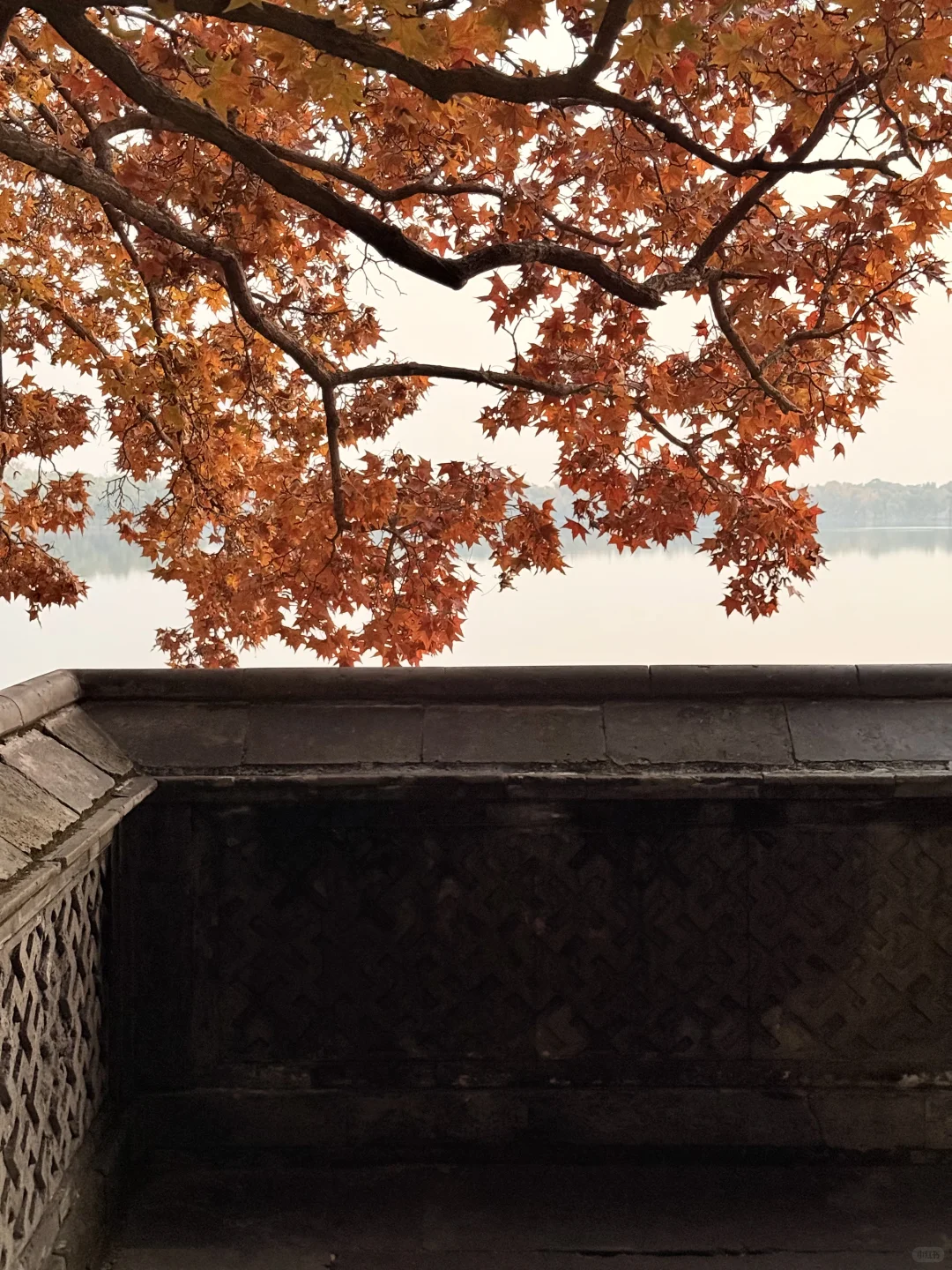 live图！！颐和园的秋天真是在画中游！！