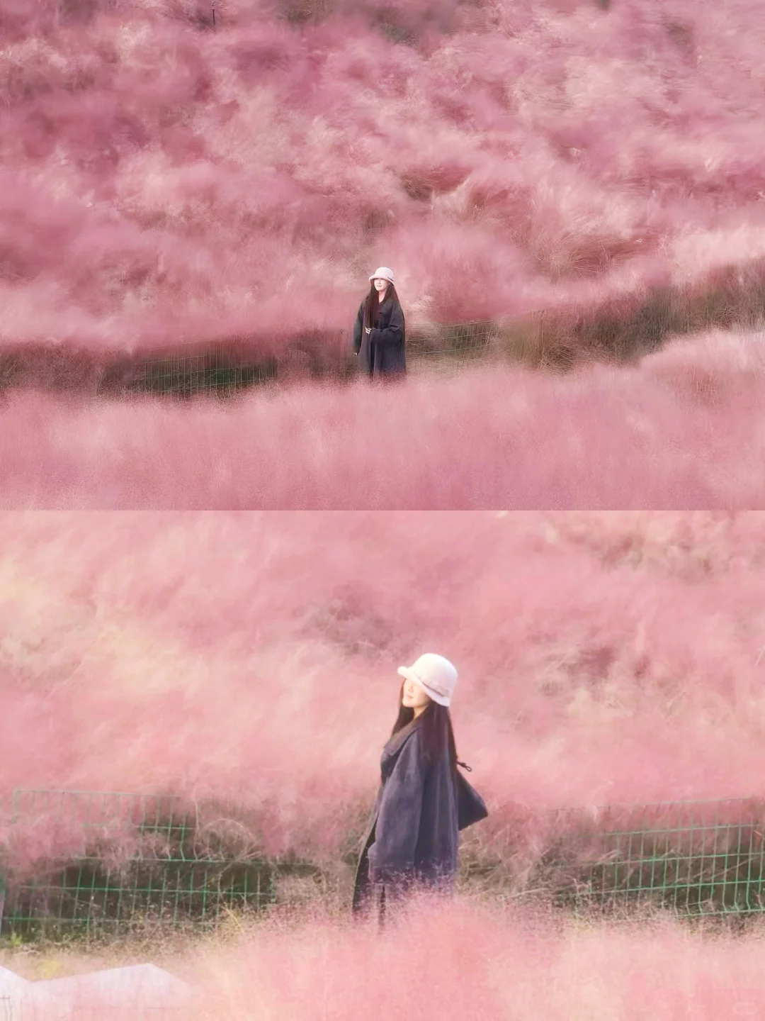 邯郸📍喜欢秋天的浪漫🍂