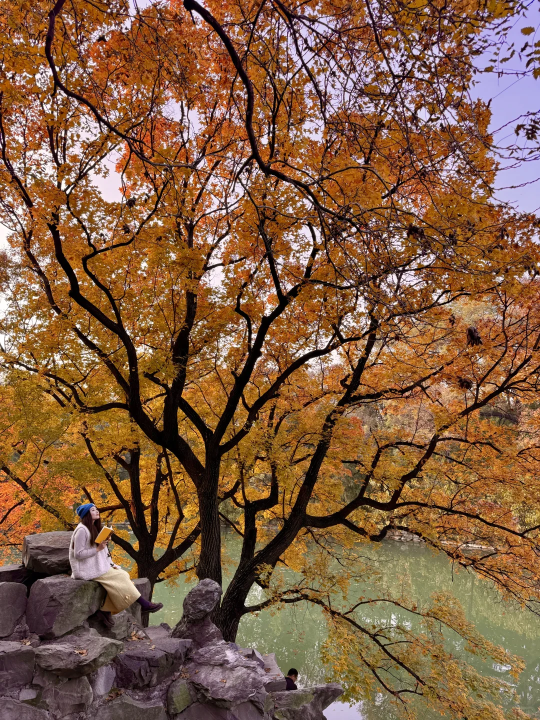 11.5实况！！颐和园油画般的秋景！杀疯了！🍂🍁