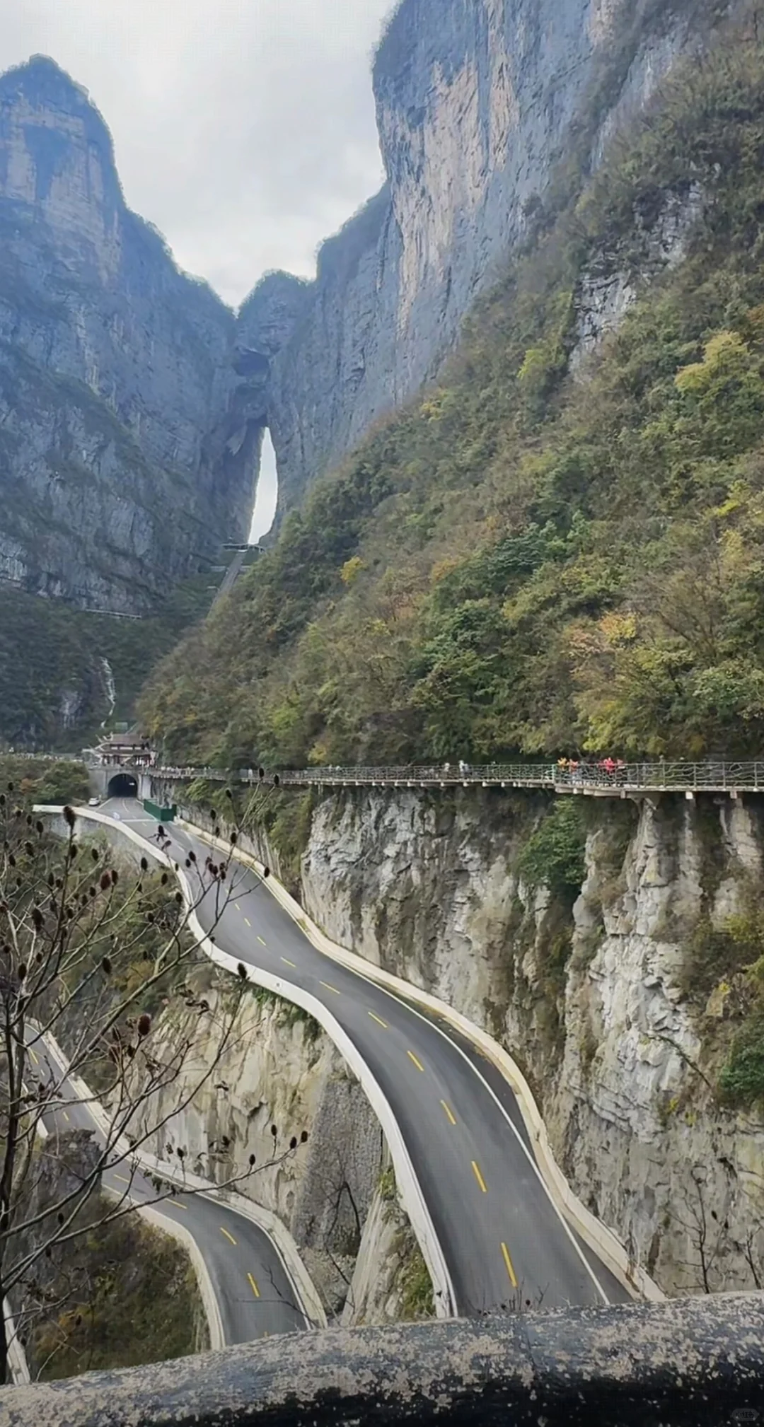 张家界景区天气情况2025年11月12日