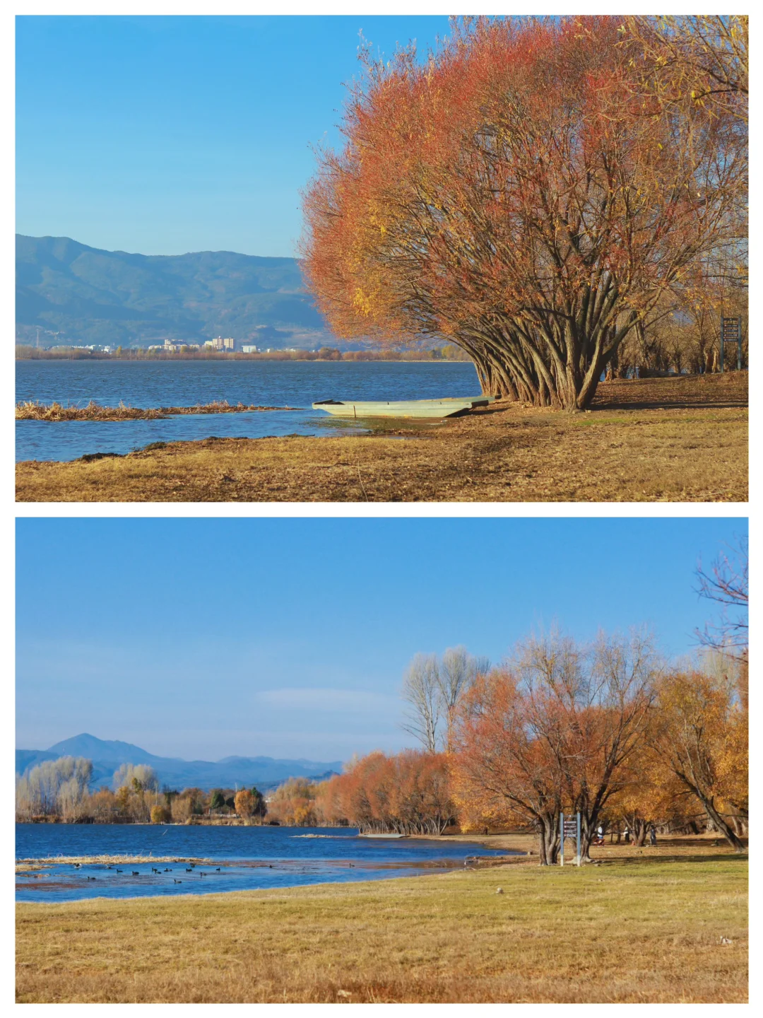 接下来的大理🍂才是冬日里的人间理想！