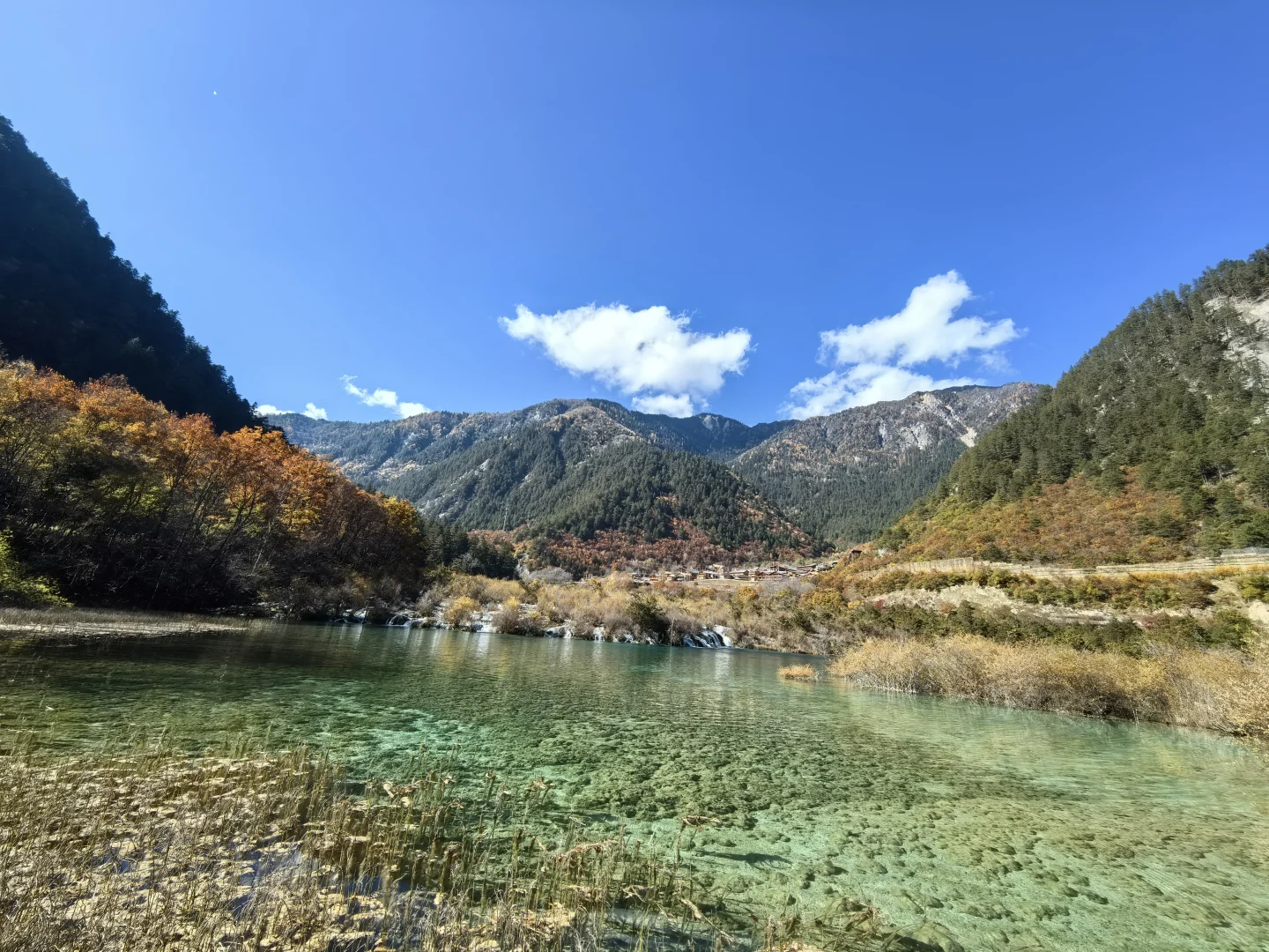 11.11九寨沟树正沟实况