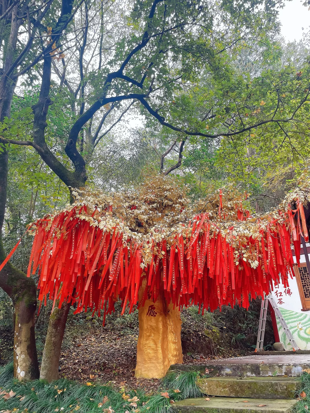 上海7080后旅游搭子