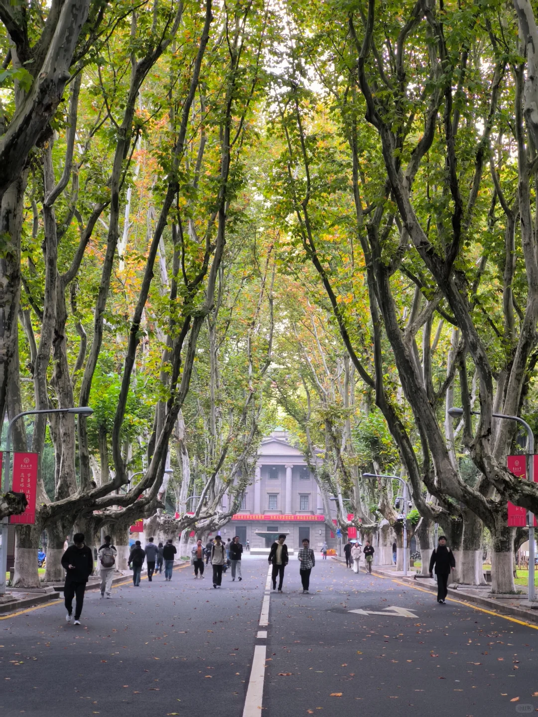 南京秋天进度实况11.9