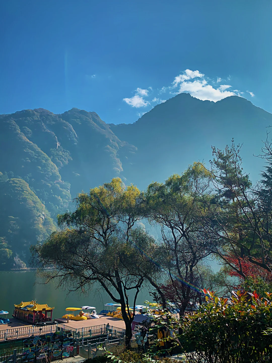 翠华山的秋色美绝了🍂