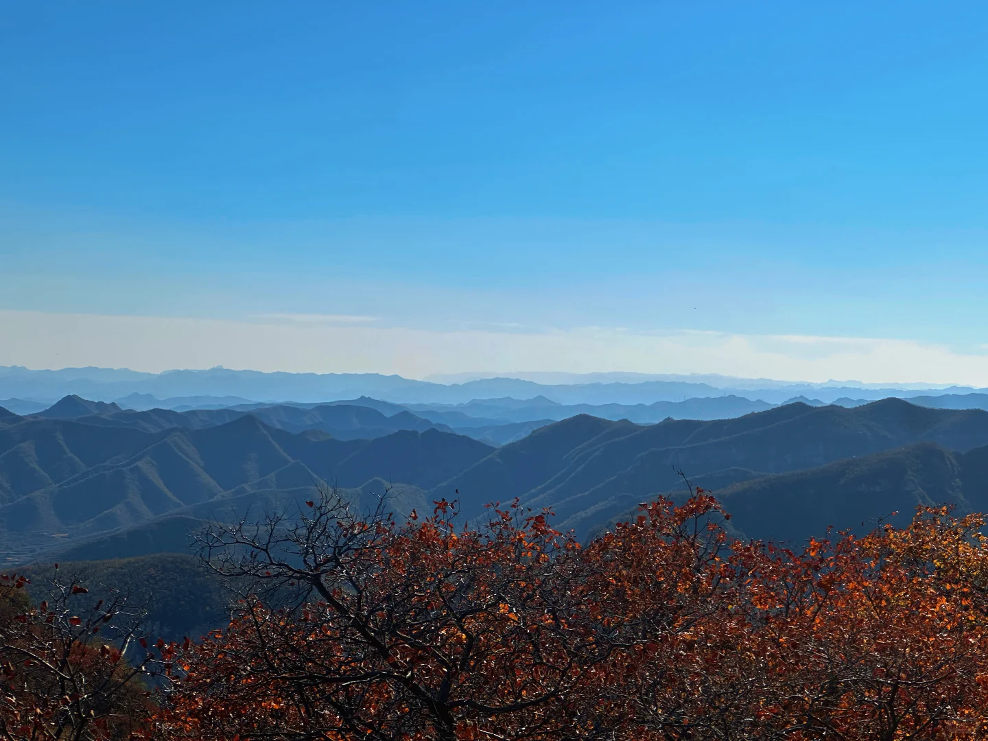 想看看你们拍的红叶🍁