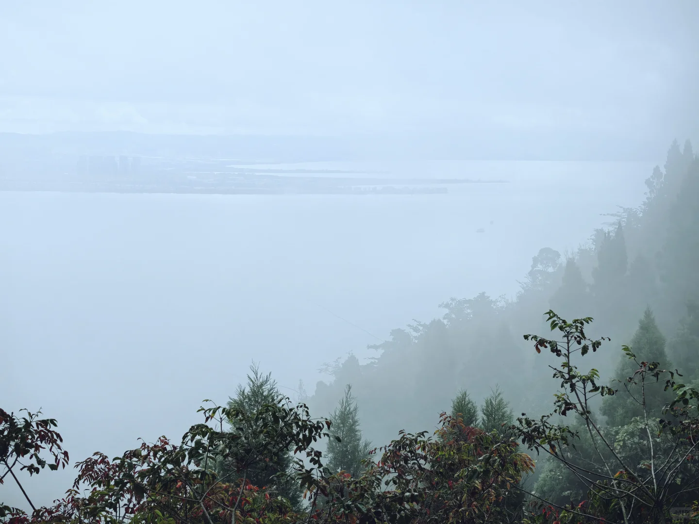 我知我喜乐，纵情跋涉”✈️