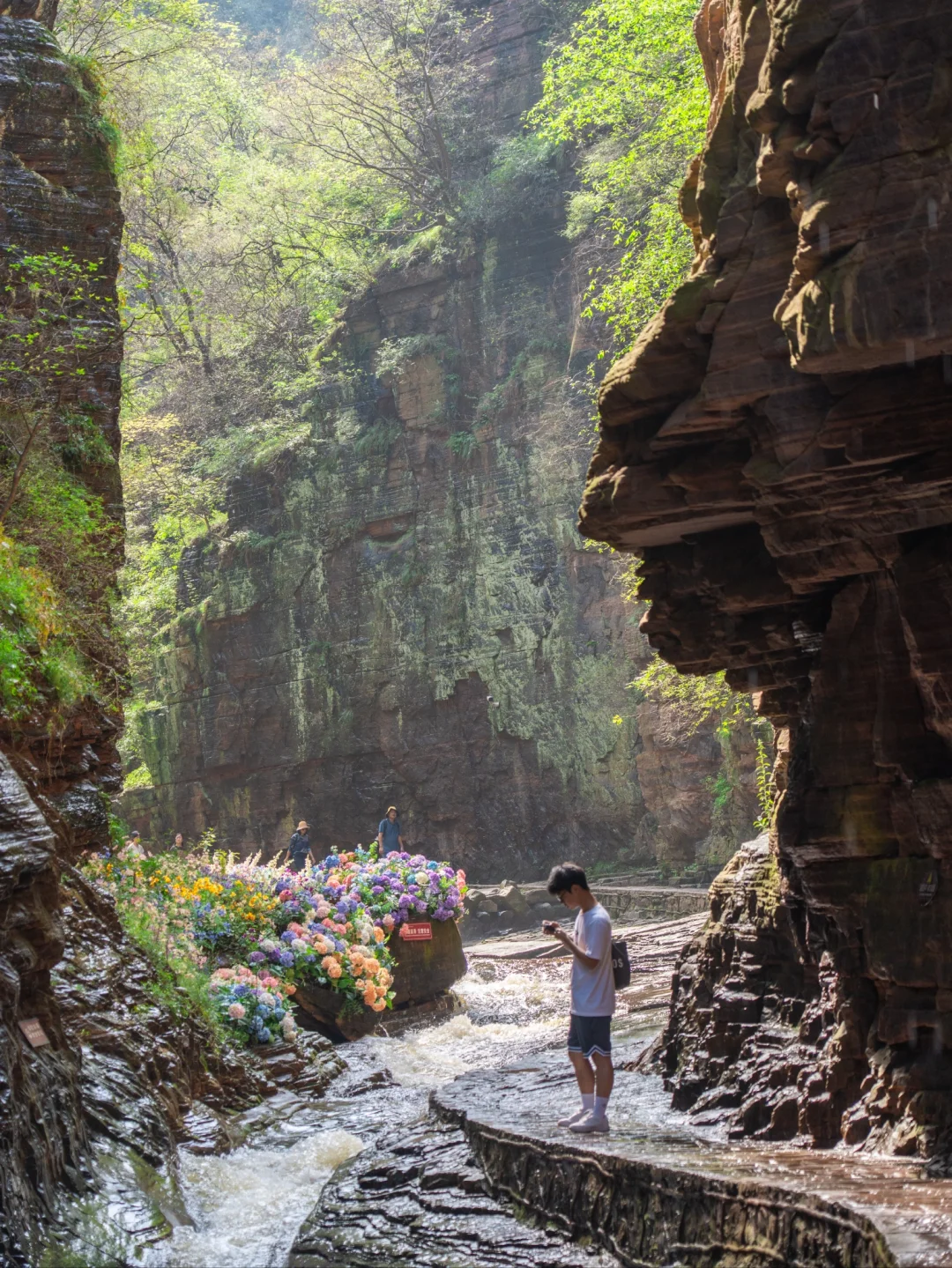 国庆没啥人❗这可能是洛阳最冷门的5A景点了