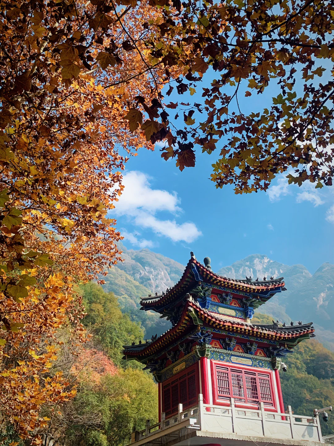 翠华山的秋色美绝了🍂