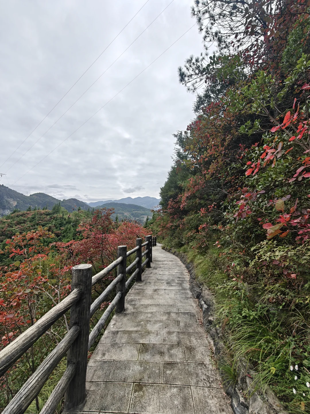 巫峡神女景区（神女天路25年11月11号）
