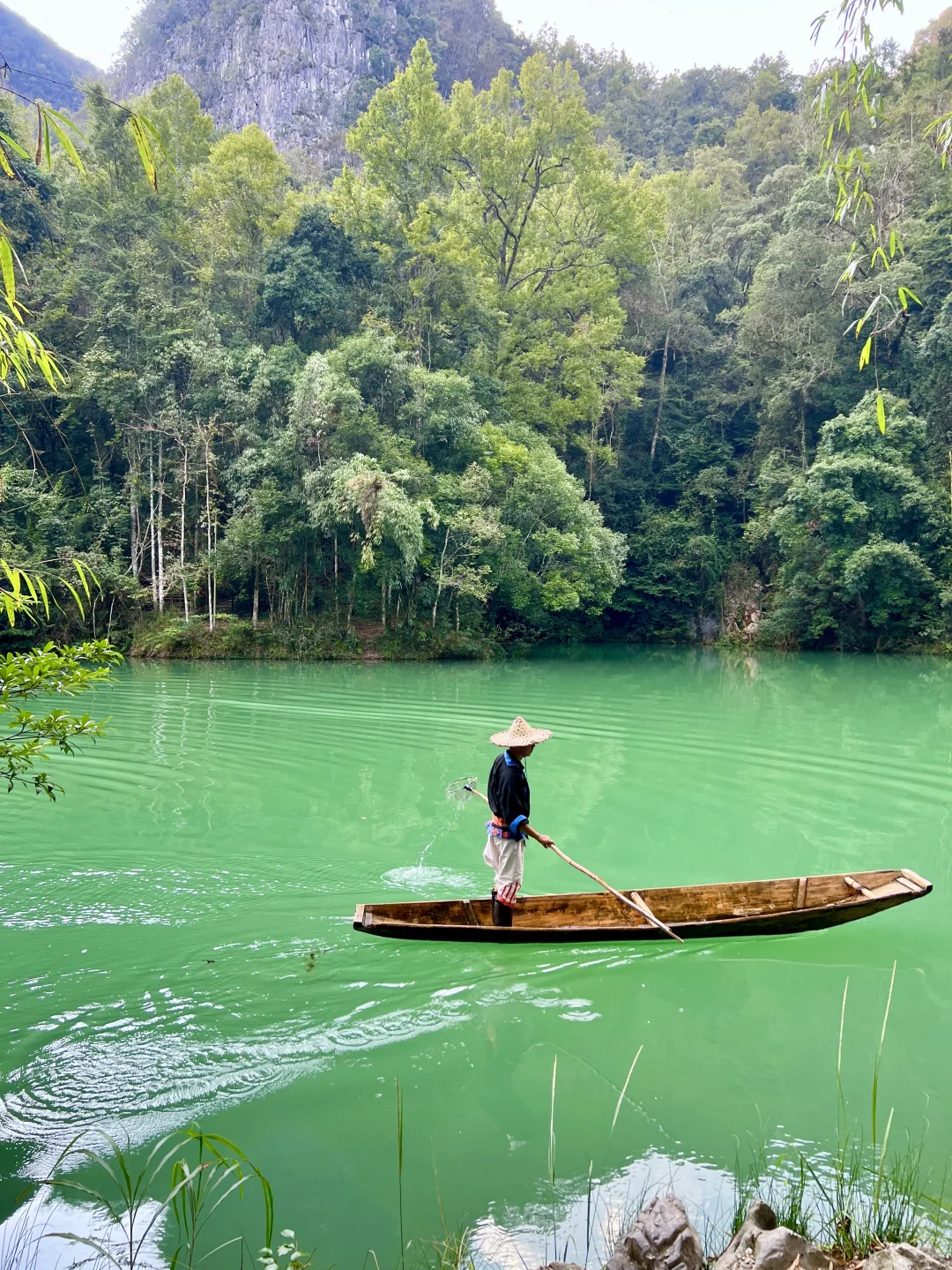 荔波小七孔｜无滤镜live图直出景色图来了🍃
