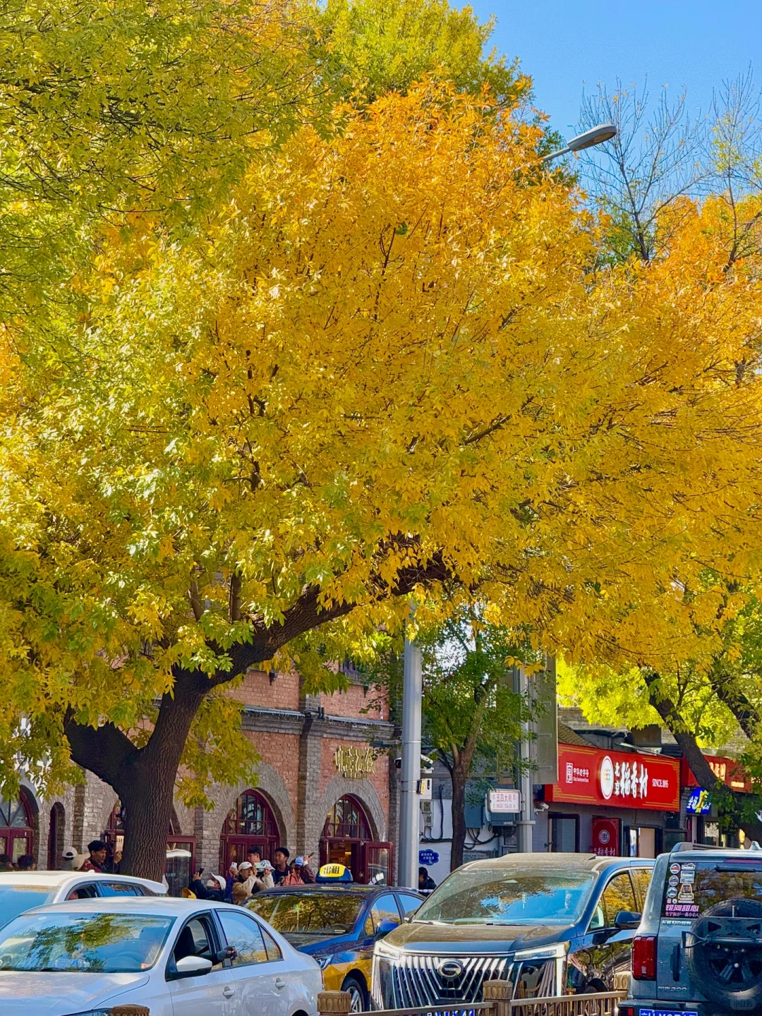 下周来北京一定要走这条赏秋路线