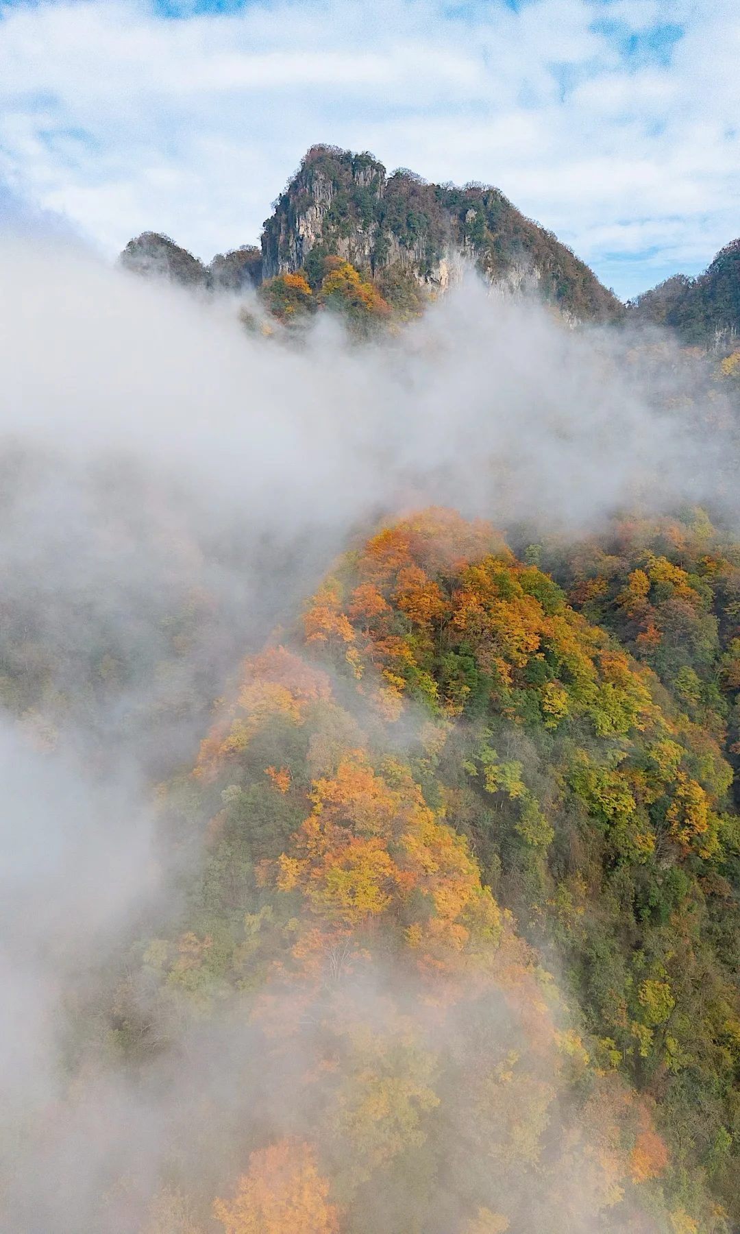 全屏｜迄今为止蕞震撼的赏秋🍁地出现了！