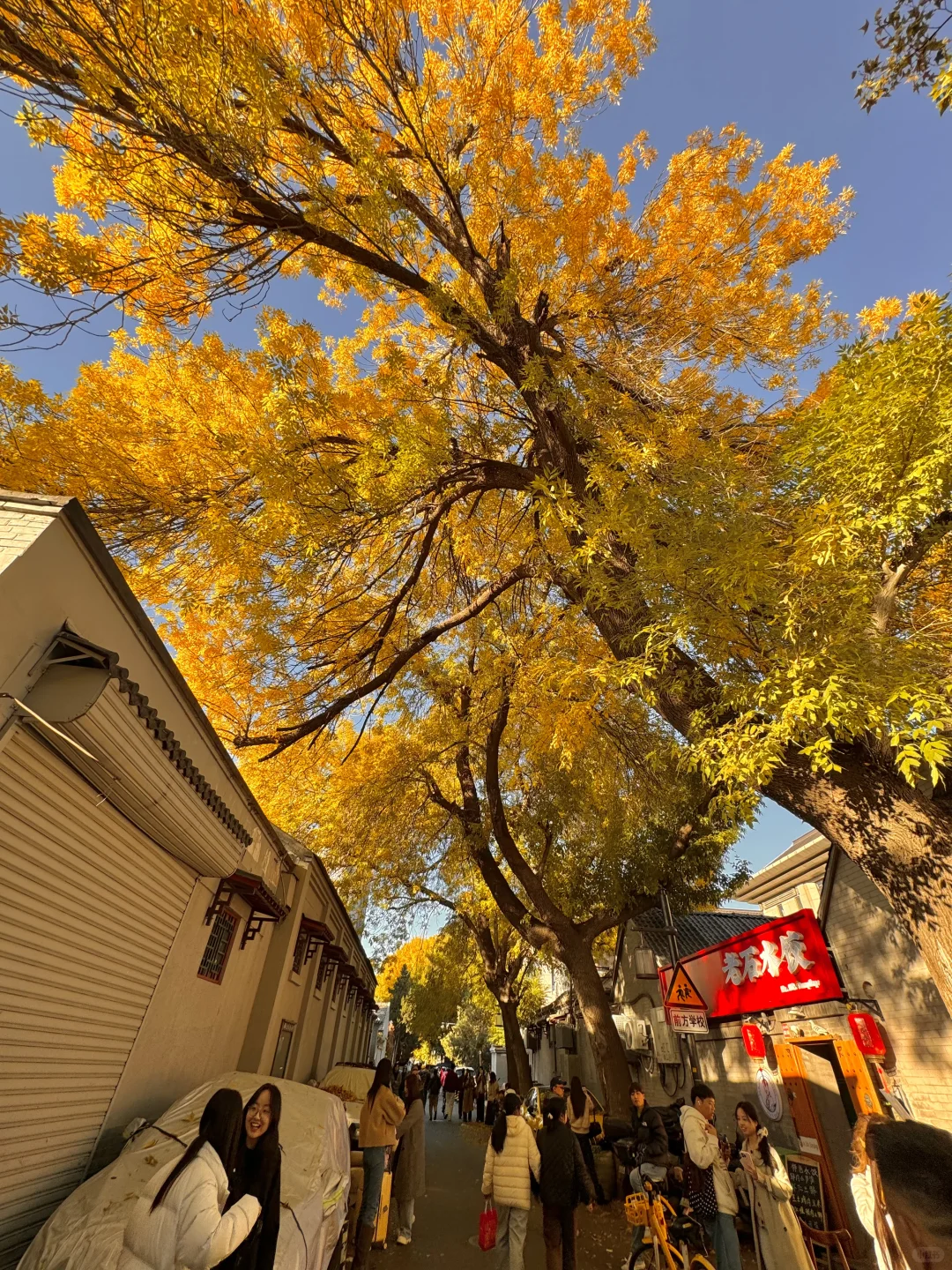 答应我，本周来北京一定走这条路线🍂11.6版