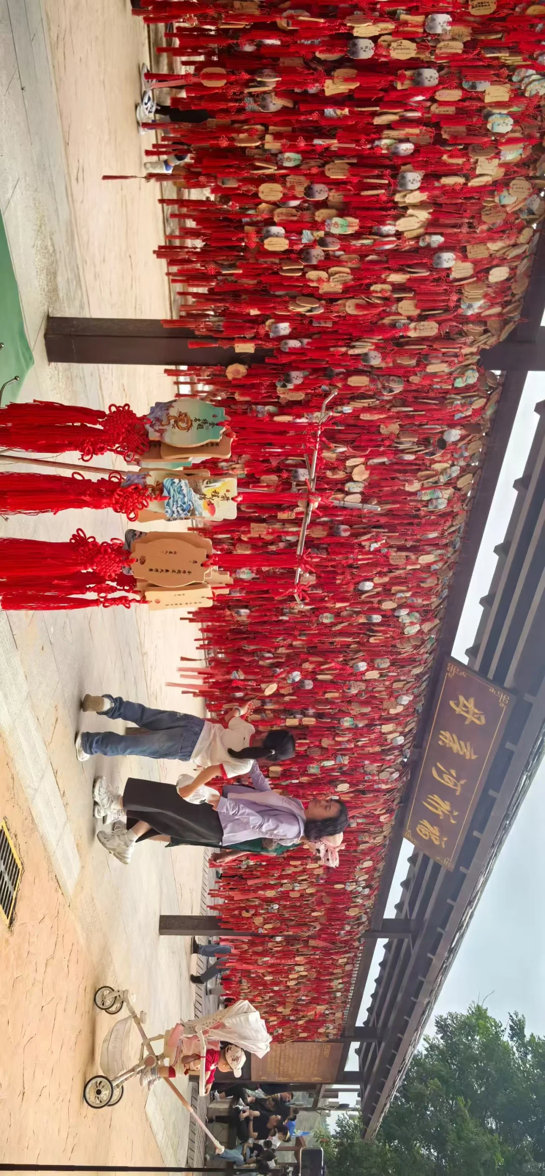 🌊 壮丽瀑布与静谧秋天的完美碰撞！